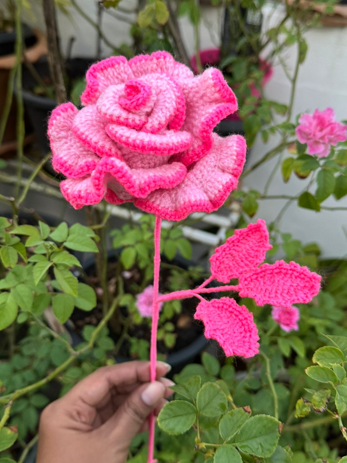 Pink Lover's Rose - Handmade Crochet